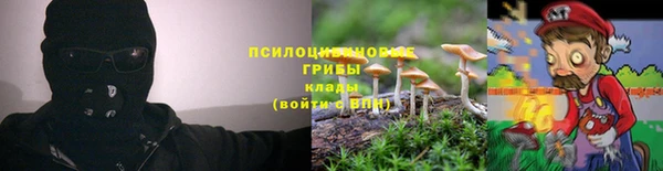 дживик Алексин