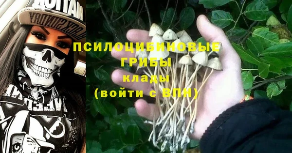 трава Алзамай
