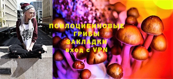 дживик Алексин